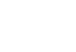 https://carnation-co.com/wp-content/uploads/2017/05/arrow-02.png