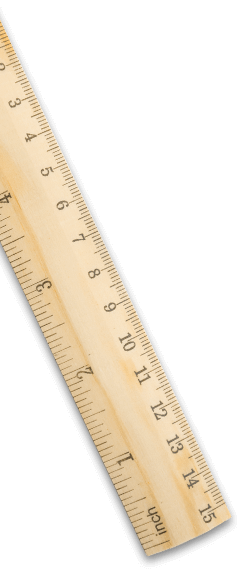 https://carnation-co.com/wp-content/uploads/2017/05/image-ruler.png